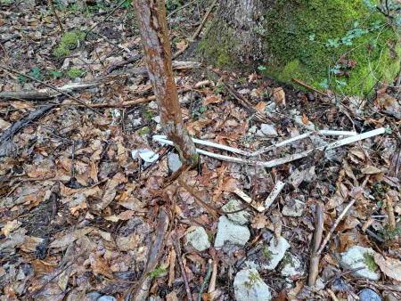 Pod listjem skrite kopalniške ploščice vpete v plastiko